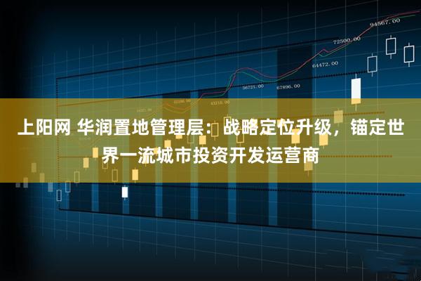 上阳网 华润置地管理层：战略定位升级，锚定世界一流城市投资开发运营商