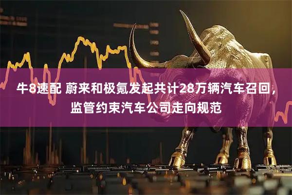 牛8速配 蔚来和极氪发起共计28万辆汽车召回，监管约束汽车公司走向规范