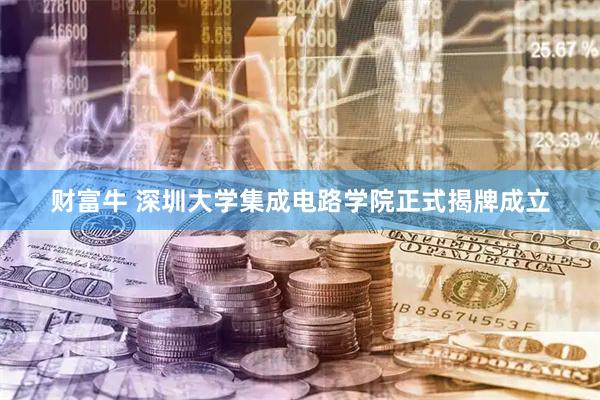 财富牛 深圳大学集成电路学院正式揭牌成立